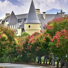 天合光能太陽能板660w670w半片單晶矽 太陽能光伏發電板 組件 歷史價格詳細信息