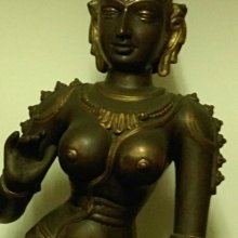 年底特價撿漏，小白或者完美主義者麻煩繞道 歷史價格詳細信息