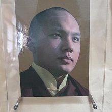 噶瑪巴 神聖的預言 貝瑪秋頓譯 慧眼雜誌出版 二手書難免泛黃 詳細書況如圖所示/放置1樓 歷史價格詳細信息