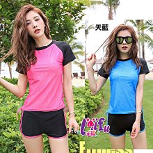 小黑來福泳衣，A115情侶泳衣世界好玩三件式泳游泳衣泳裝比基尼，單女生售價1100元 歷史價格詳細信息