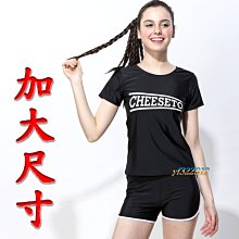 YF加大尺碼短袖.有袖二件式泳裝.泳衣 泡溫泉【免運送&rarr;泳帽、胸墊】 61002  .4EL 歷史價格詳細信息