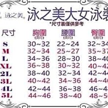 A&T*泳之美*台灣製大男三角泳褲原價$550【2517】M~XL 歷史價格詳細信息