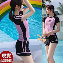 小白來福泳衣，G390泳衣宏美二件式拉鍊長袖泳衣游泳衣泳裝比基尼泳衣正品，售價1200元 歷史價格詳細信息