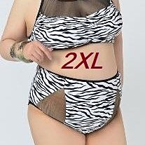 現貨~大尺碼泳裝XL-3XL加大尺碼女士比基尼分體泳裝 大碼分體比基尼泳衣 大尺碼女分體比基尼泳裝/MU-1C018 歷史價格詳細信息