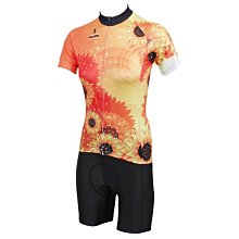 預購【ILPALADINO】男款短袖車衣褲套裝 :: 海浪 歷史價格詳細信息