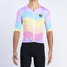 【三鐵共購】【WAST專為亞洲人設計】W-B.B. STRIPE RAINBOW男女共款彩虹線條短車衣 歷史價格詳細信息