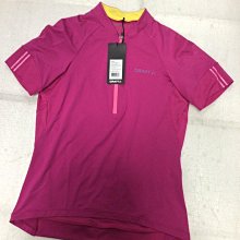 【n0900台灣健立最便宜】2024CRAFT瑞典(錯過這次再等10年)DELTA薄型壓縮訓練緊身長袖上衣1903233 歷史價格詳細信息