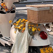 摩托車尾箱 大容量後備箱 踏闆車電動車行李箱 大號通用非鋁合金 尾箱  露天拍賣 歷史價格詳細信息