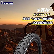 MICHELIN 米其林 自行車專用 迷你電動打氣機．附水壺固定座．110V充電座 12320 歷史價格詳細信息