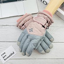 手套男冬季滑雪防水加絨加厚棉保暖防風防寒電動摩托車騎行手套女 歷史價格詳細信息