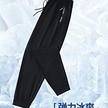 戰狼地帶戶外冰絲速干褲男2024夏季新款簡約大碼輕薄透氣休閑長褲 歷史價格詳細信息