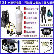 專業級潛水3米防水防摔防塵殼 適用 IPAD PRO 11 (2021/2020) 防水殼 平板防水殼 平板防摔殼 歷史價格詳細信息