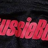 WJ-1型智能風速報警儀 港口塔吊機場風級測量儀 歷史價格詳細信息