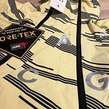 Nike Acg Alpine防水GORE-TEX機能外套 歷史價格詳細信息