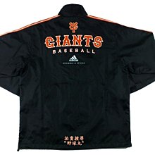 巨大 日治 全件 整檜板 檜木 藏物箱 檜木桌  . 皮殼超美 巨大尺寸 93 x 55 高 37 歷史價格詳細信息