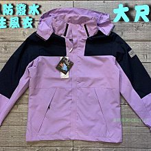 塞爾提克~UNIONE 女生 慢跑褲 真理褲 有內裏 雙層內搭褲 束褲 安全褲 運動短褲 彈性快排.MIZUNO參考 歷史價格詳細信息