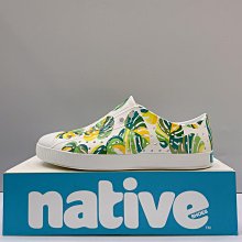 native JEFFERSON 男/女鞋-雨林秘境x藍 歷史價格詳細信息