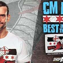 ☆阿Su倉庫☆WWE摔角 Cm Punk Elite 113 超人氣巨星龐克精華版人偶公仔附NXT偶衣配件 熱賣中 歷史價格詳細信息