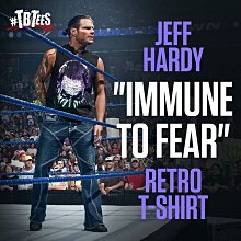 正品 Fear Of God x Vans Era 95 Reissue 恐懼上帝 FOG 聯名 低幫 休閒板鞋 男女款 歷史價格詳細信息