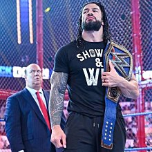 RR Roman Wall Hanging Made in Japan 歷史價格詳細信息