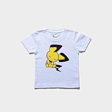 【潤資精品店】THE NORTH FACE PURPLE LABEL 紫標 托特包 NN7008N 預購 歷史價格詳細信息