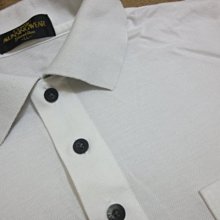 (抓抓二手服飾)  POLO VILLAE  POLO衫  50號   (F130) 歷史價格詳細信息