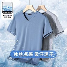 莫代爾夏季短袖T恤男士V領無痕打底背心內穿薄款商務無縫內衣上衣 歷史價格詳細信息