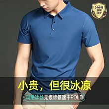 高品質男士商務Polo衫 夏季Polo衫 面試Polo衫 純棉短袖Polo衫 吸汗透氣 素面Polo衫 歷史價格詳細信息