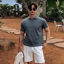 素色翻領短袖潮男 M-3XL 夏季新款青春流行 2024 簡約氣質短袖POLO衫-22號穿搭 價格比較,價格查詢,歷史價格詳細信息