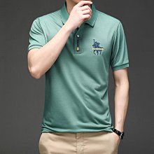 POLO衫  短袖T恤 男翻領 优质面料 寬鬆半袖polo衫 男士休閒有領短袖體恤衫-22號穿搭 價格比較,價格查詢,歷史價格詳細信息
