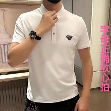時尚短袖 Polo 衫男士經典休閒上衣-22號穿搭 歷史價格詳細信息