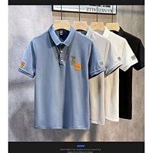2024夏季新款時尚男士短袖polo衫輕奢商務休閒帥氣緊身翻領t恤潮-22號穿搭 歷史價格詳細信息