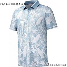 夏季高爾夫短袖Polo衫速乾男子T恤 歐碼polo, 全新-22號穿搭 歷史價格詳細信息
