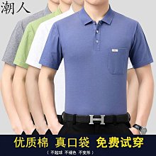 男裝 Polo衫 短袖 男士 珠地 夏季 寬鬆 休閒 刺繡 上衣 翻領 T恤男 刺繡-22號穿搭 歷史價格詳細信息