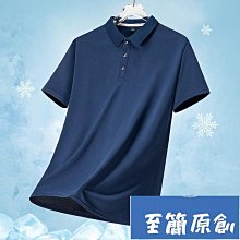 夏季POLO衫男士吸濕排汗刺繡短袖中青年爸爸裝男T恤翻領寬鬆保羅衫上衣男裝棉質打底衫-22號穿搭 歷史價格詳細信息