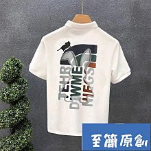 男生衣著 polo衫男短袖夏季寬鬆襯衫領工裝t恤男士休閒冰絲速乾衣夏款 短版短袖T恤-22號穿搭 歷史價格詳細信息