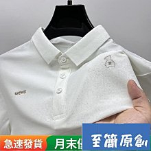 POLO衫  短袖T恤 男翻領 优质面料 寬鬆半袖polo衫 男士休閒有領短袖體恤衫-22號穿搭 歷史價格詳細信息