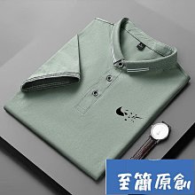 夏季 男士POLO衫 簡約 彈力 拼色 素面POLO衫 短袖Polo 短袖T恤 休閒上衣 排汗 透氣 商務Polo-22號穿搭 歷史價格詳細信息