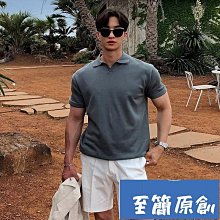 素色翻領短袖潮男 M-3XL 夏季新款青春流行 2024 簡約氣質短袖POLO衫-22號穿搭 歷史價格詳細信息