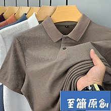 翻領短袖T恤夏季男款POLO衫緊身時尚素色衫簡約商務風男時裝上衣-22號穿搭 歷史價格詳細信息