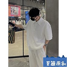 華夫格T恤男 翻領POLO衫 高級感夏裝潮牌帥氣短袖T恤素色百搭短袖 商務正裝M2-22號穿搭 歷史價格詳細信息
