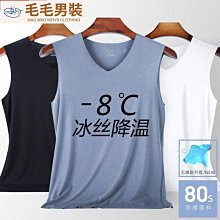 背心男 夏季薄款運動背心 大肩坎肩背心潮流ins時尚百搭 圓領背心 無袖上衣 t恤男 無袖t恤 內搭背心 坦克背心 歷史價格詳細信息