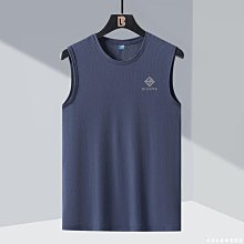 男真絲背心＊30%蠶絲(真絲針織)＊寬肩／V領／純色／5色＊接受訂購 歷史價格詳細信息