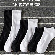 純白毛巾12入組(飯店享受 平價消費) 台灣製造 純白毛巾 毛巾 浴巾 飯店毛巾 OKPOLO 歷史價格詳細信息