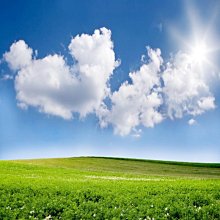 禮盒5雙裝男勾勾襪-素色黑白灰中筒情侶款ins學生運動純棉襪子 歷史價格詳細信息