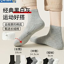 男士襪子短襪毛巾底運動襪春夏季防臭條紋短筒男生短款低腰毛巾襪 歷史價格詳細信息
