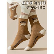 【五色入】秋冬休閒套裝 韓版長袖套裝 刷毛套裝 運動套裝 外套套裝 夾克外套+休閒長褲 兩件式套裝 潮牌套裝 防風外套男 歷史價格詳細信息