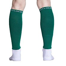 【WINDCAT】W21 21速摺疊腳踏車 歷史價格詳細信息