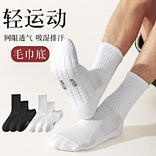 男士襪子短襪毛巾底運動襪春夏季防臭條紋短筒男生短款低腰毛巾襪 歷史價格詳細信息