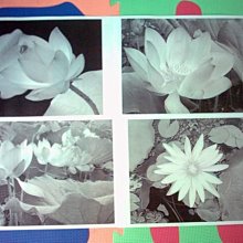 (保固半年）HP LaserJet 3200〔印表.掃瞄.影印.傳真〕多功能雷射印表機 歷史價格詳細信息